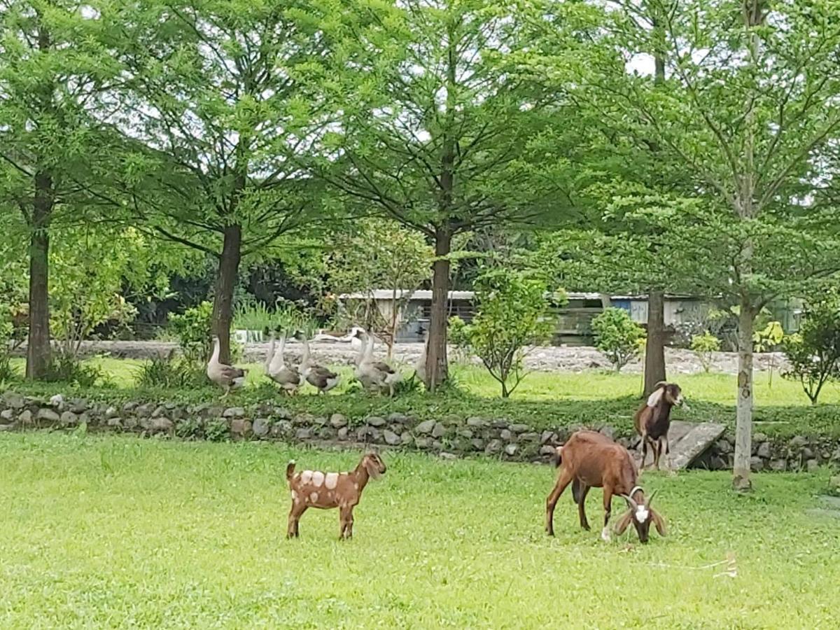 Meihua Lake Leisure Farm Dongshan  Exterior foto